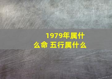 1979年属什么命 五行属什么